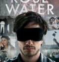 Rosewater (2014)