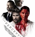 THE PERCEPTION (2018)
